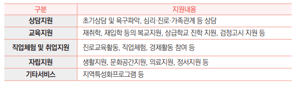 구분 지원내용
상담지원 초기상담 및 욕구파악, 심리·진로·가족관계 등 상담
교육지원 재취학, 재입학 등의 복교지원, 상급학교 진학 지원, 검정고시 지원 등
직업체험 및 취업지원 진로교육활동, 직업체험, 경제활동 참여 등
자립지원 생활지원, 문화공간지원, 의료지원, 정서지원 등
기타서비스 지역특성화프로그램 등